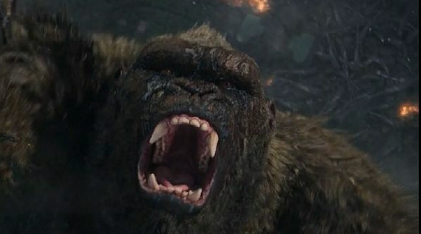 Adam Wingard felt bad for Kong, removed things that were supposed to happen to him!