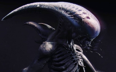Fan Art Spotlight: Alien Neomorph and Bull Xenomorph concepts!