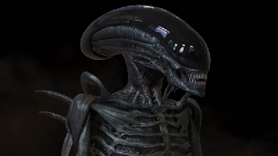 How Good Would an Alien: Hunting Grounds Game Be?