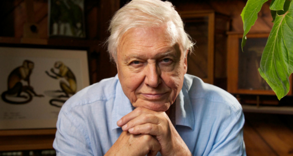 Image result for david attenborough