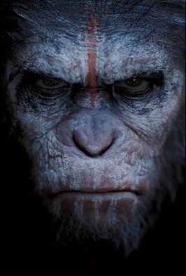 Dawn - Apes Tribal Posters