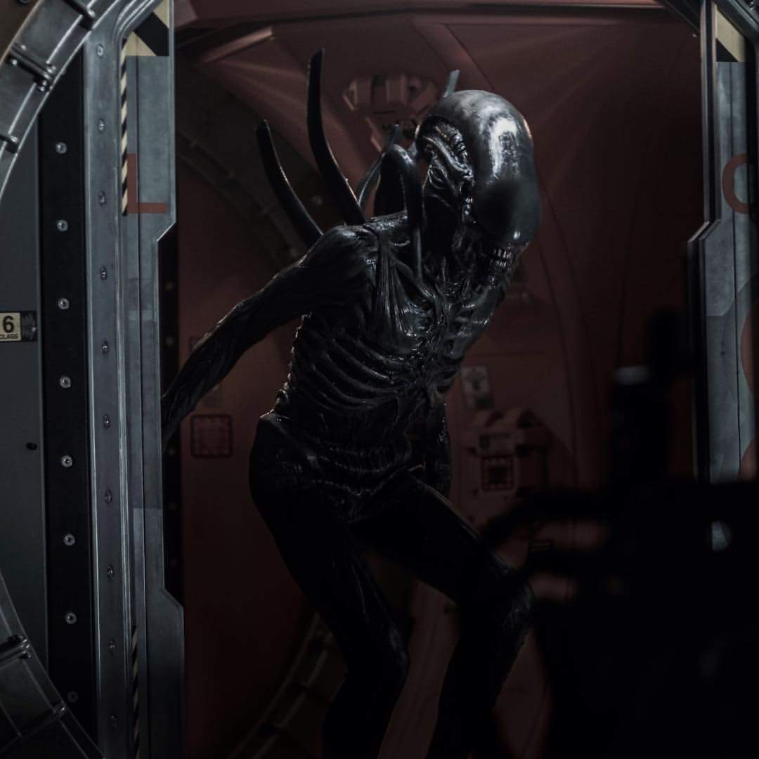 Alien: Covenant Xenomorph suit