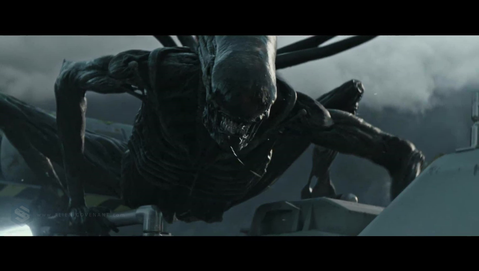 The Alien: Covenant Xenomorph / Protomorph