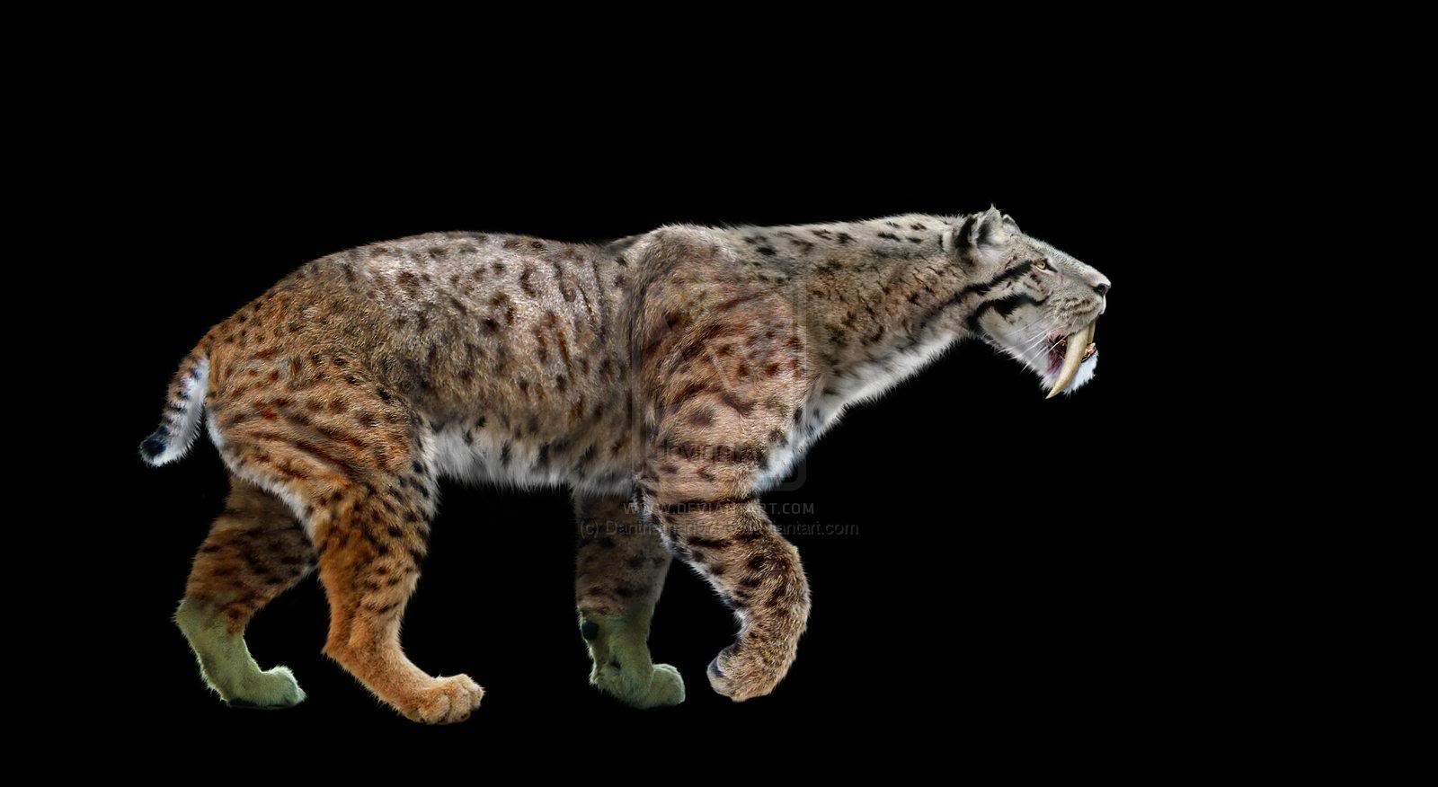 Smilodon57 Profile