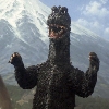Godzilla's_Tail79 Profile