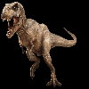 Rexy the T-Rex Profile