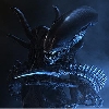 Xenomorph XX121 Profile