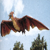 FireRodan93 Profile