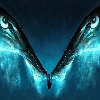 MOTHRA LOVERS Profile