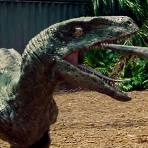 Comparing Velociraptors from Jurassic Park, The Lost World: Jurassic Park, Jurassic Park 3 and Jurassic World