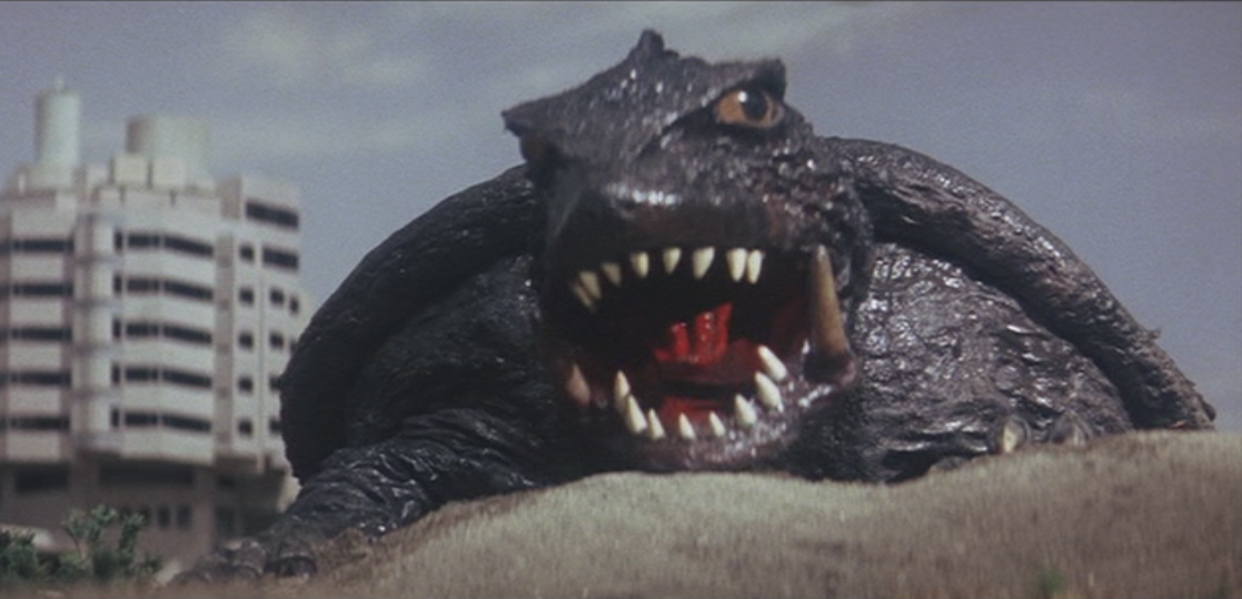 Remember When Godzilla 