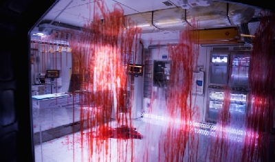 What would you do if you survived it?