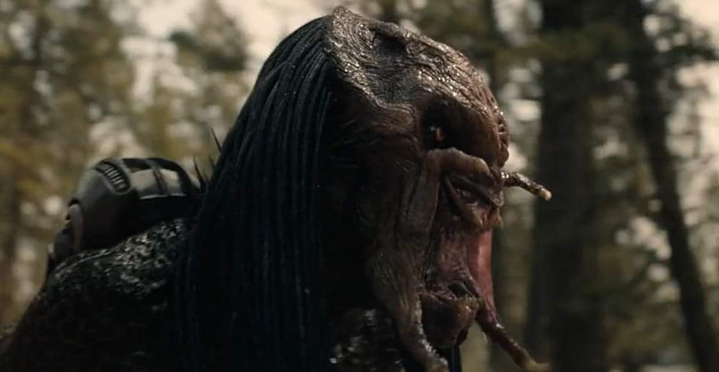 Watch AVP: Alien vs. Predator Streaming Online