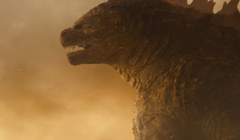 Godzilla 2: King of the Monsters was nominated for a Razzie Award, but who cares?