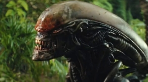 Noah Hawley says he didn't intend for the Xenomorph to become Wendy’s pet