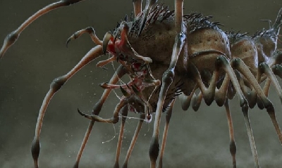 The Preda-Pede: Unused Predator (2018) Creature Concept