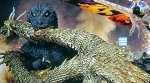 Toho launches official Godzilla(.com) website!