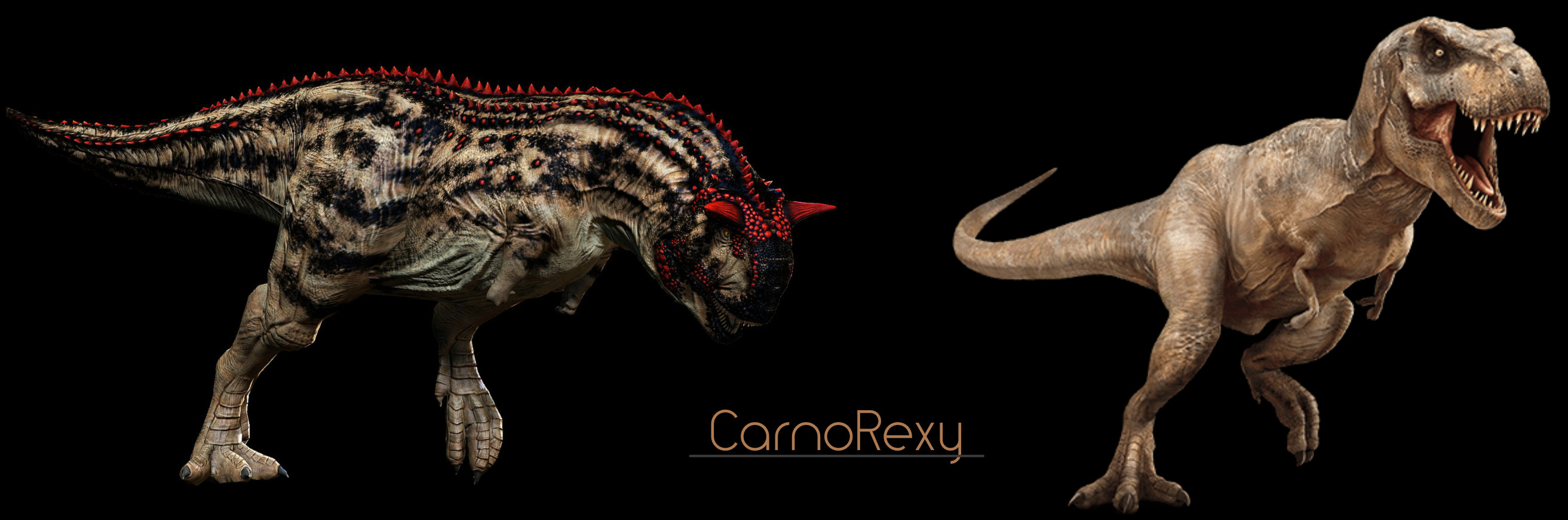 User Banner