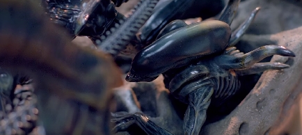 Alien King Xenomorphs