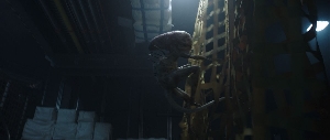 Baby Neomorph