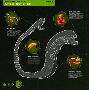 Chestburster