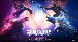 Godzilla x Kong China Poster