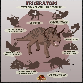 Jurassic Park 3D Dino Chart - Triceratops