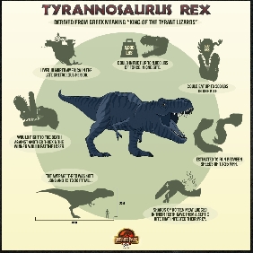 Jurassic Park 3D - T-Rex Info Poster