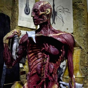 Plastinated Engineer