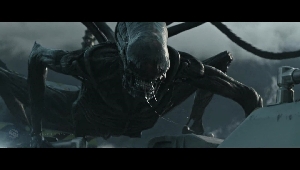 The Alien: Covenant Xenomorph / Protomorph