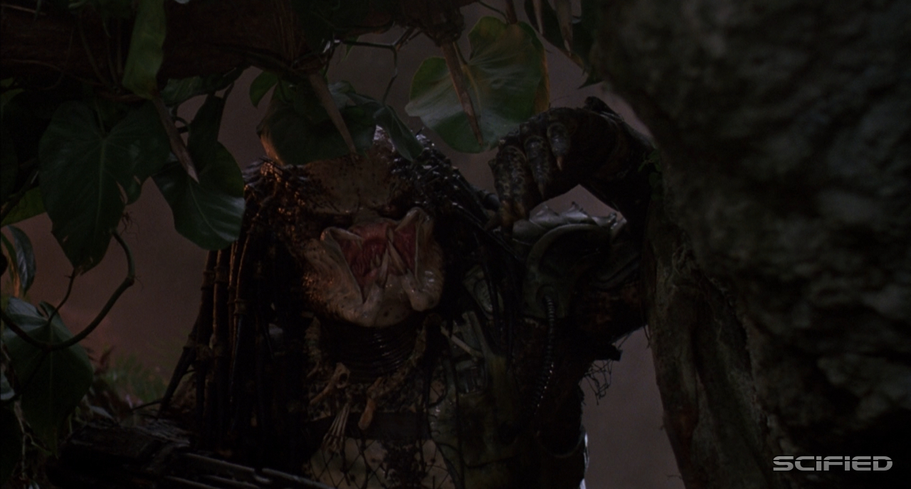 5 ways Arnold Schwarzenegger could return for Predator 4