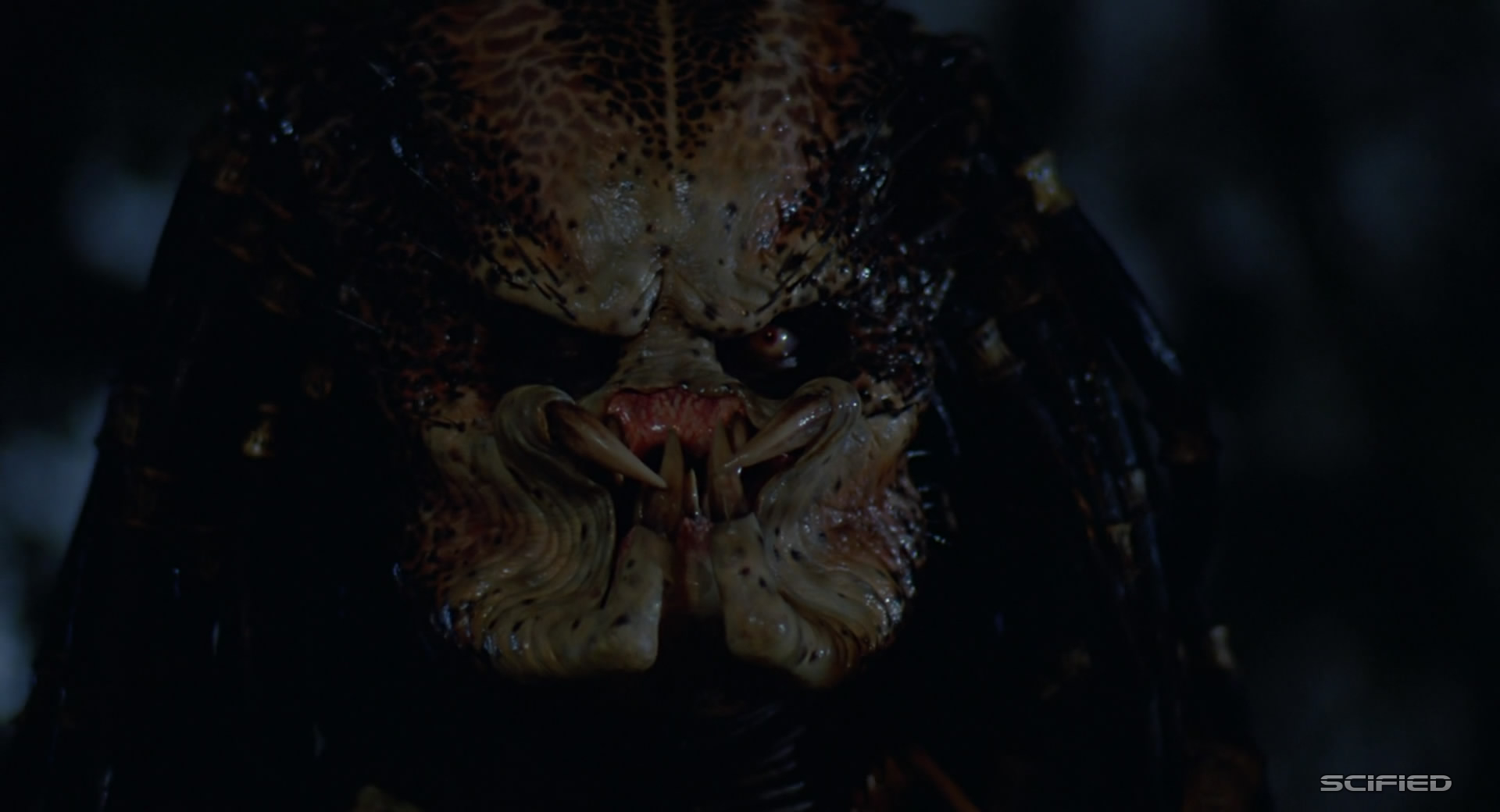 5 ways Arnold Schwarzenegger could return for Predator 4