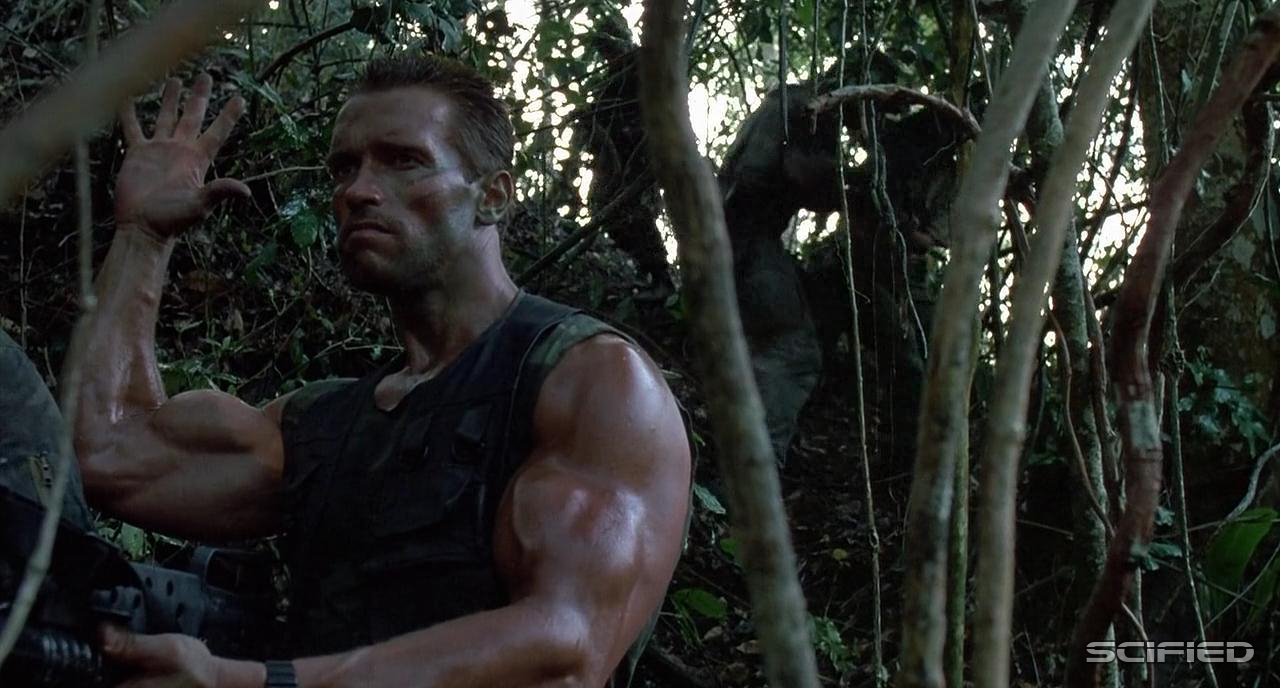 Arnold Schwarzenegger Back For The New Predator Movie? Here's What