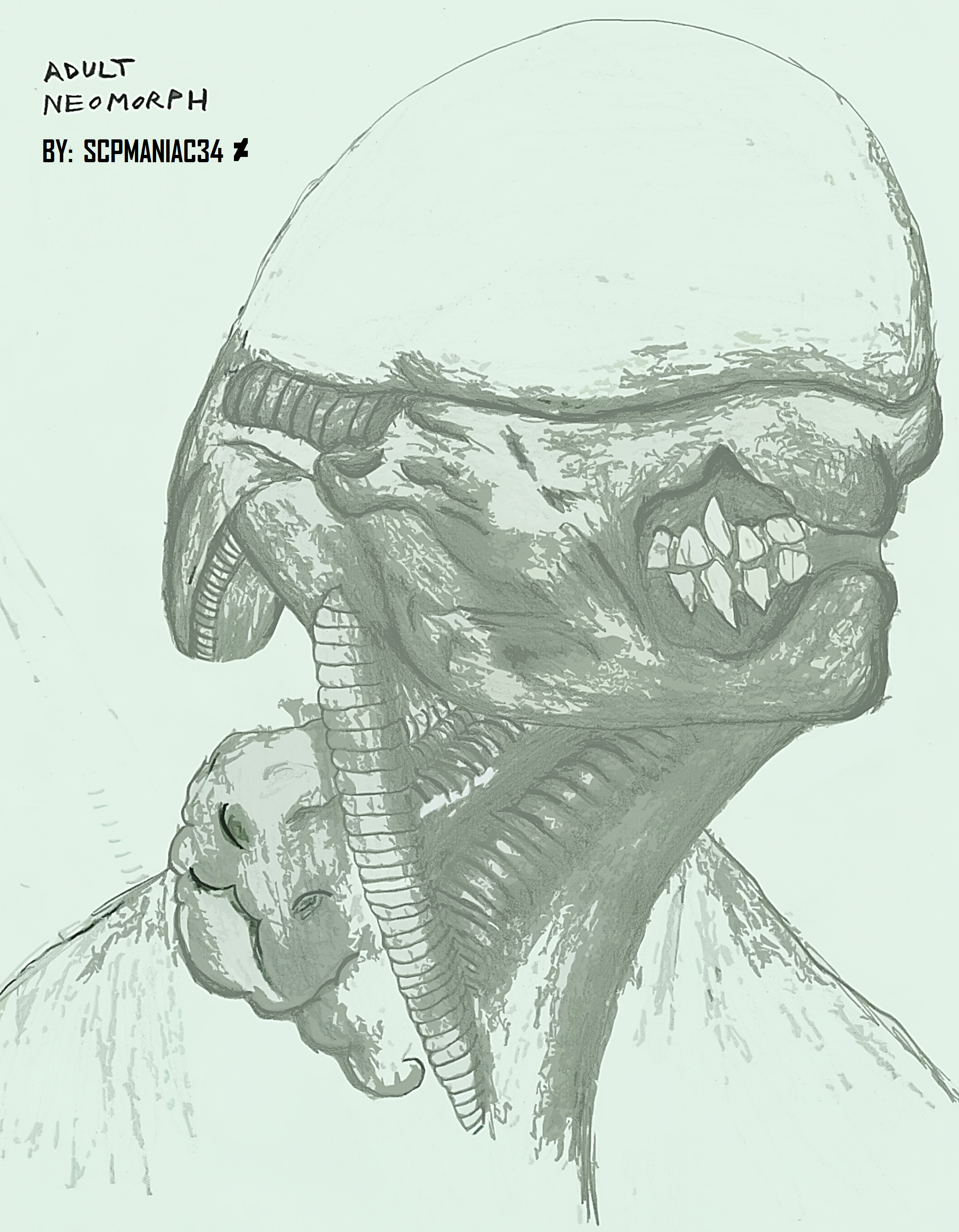 Adult Neomorph head sketch