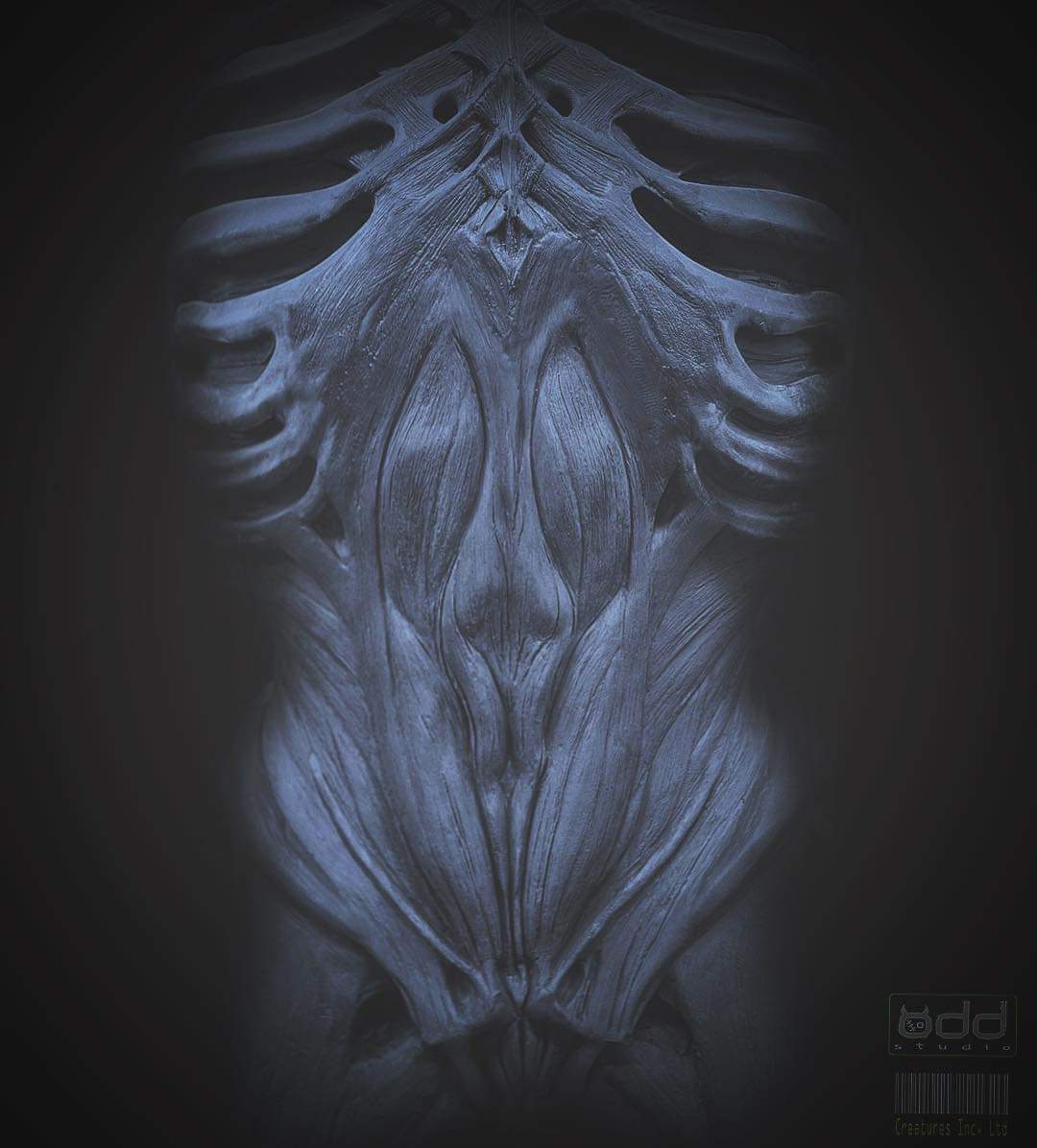 Alien Covenant WIP Xenomorph chest (Rare Photo)