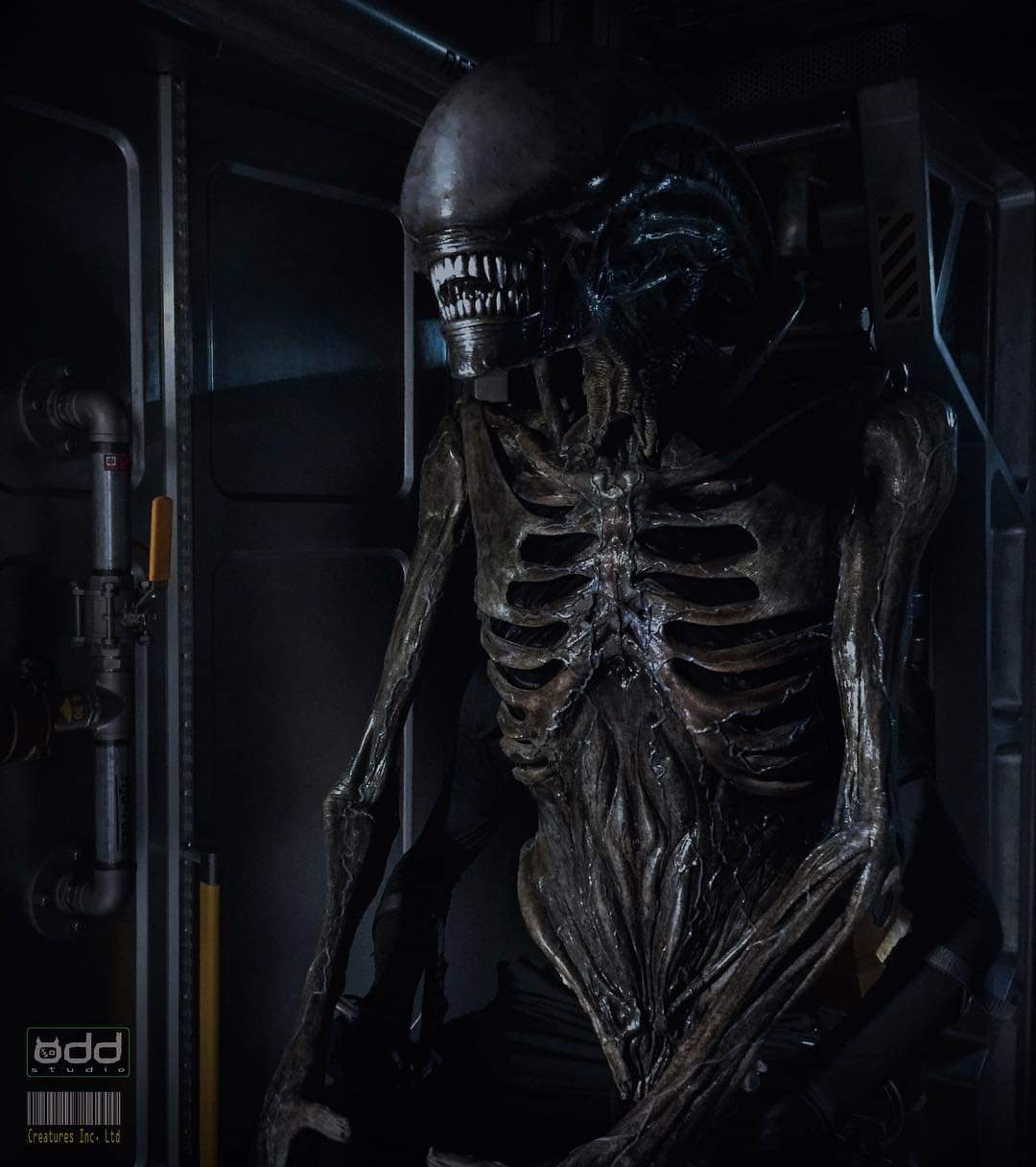 Alien Covenant Xenomorph suit (Rare Photo)