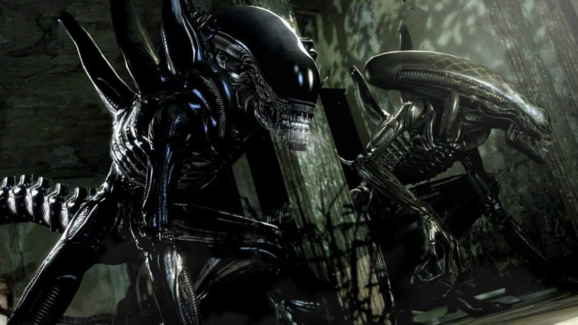 AvP Xenomorphs (Fan Art) - Alien Images Image Gallery