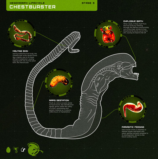 Chestburster