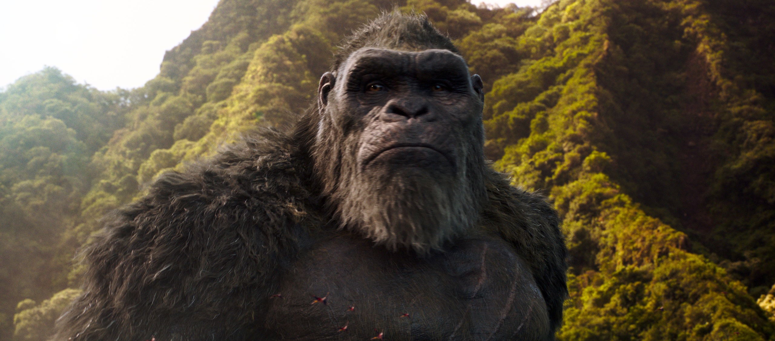 Godzilla vs. Kong Official Movie Stills