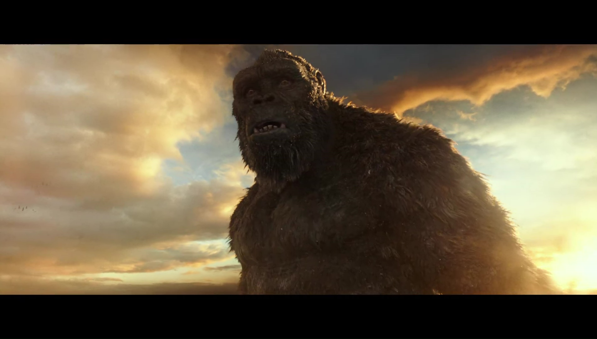 Godzilla vs. Kong Trailer 1 Screenshots - Godzilla vs. Kong 2021