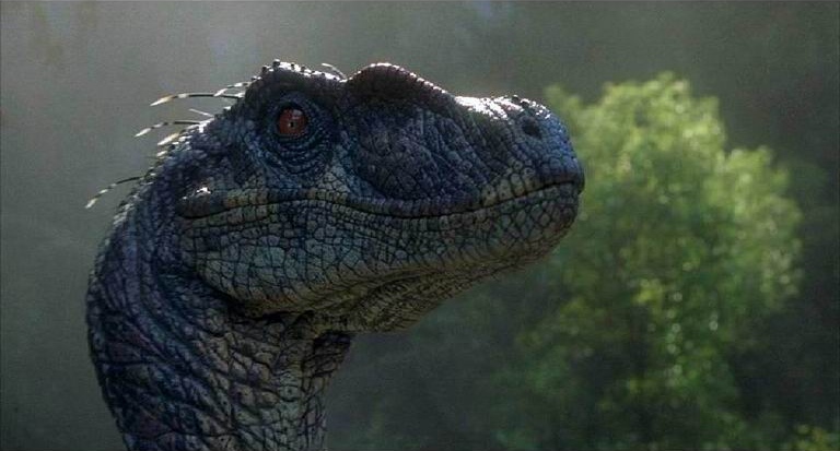 Jurassic Park 3 Male Velociraptor