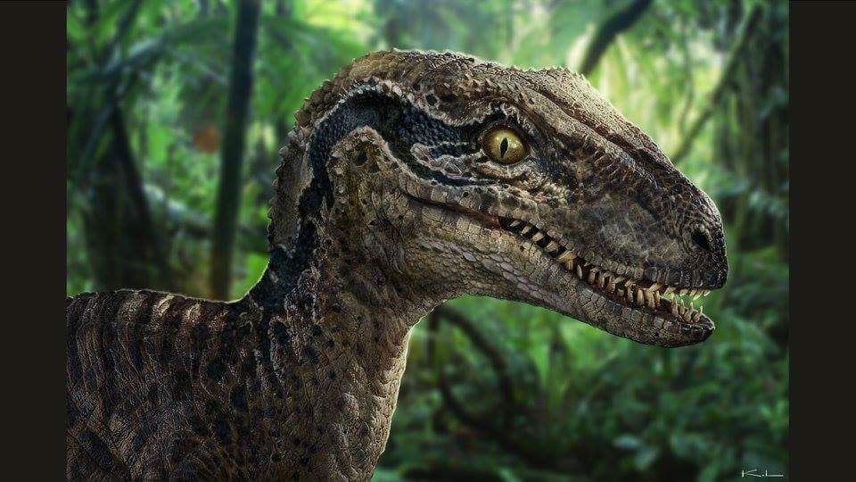 Jurassic World Blue Velociraptor Concept Art - Jurassic World Posters