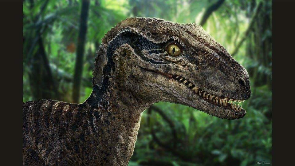 Jurassic World Blue Velociraptor Concept Art Jurassic