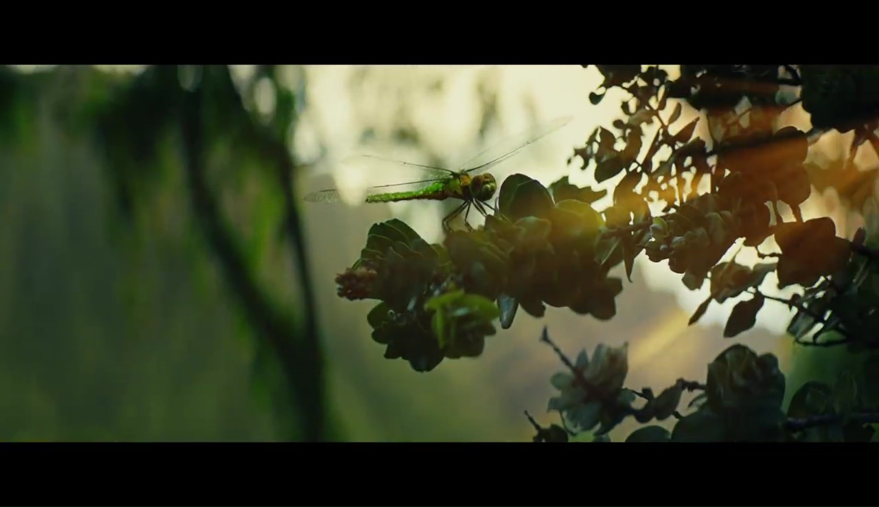 Kong: Skull Island Comic-Con Trailer Screenshot