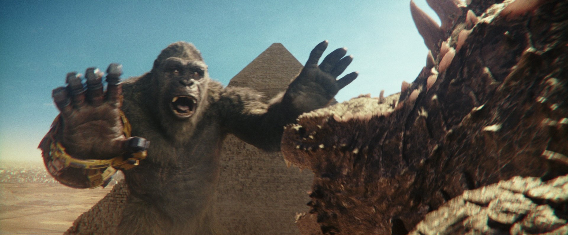 Kong tries to recruit Godzilla