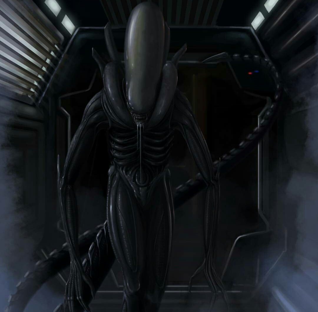 Lurking Alien Xenomorph