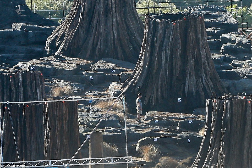 Massive tree trunks spotted in new Alien: Covenant set photo