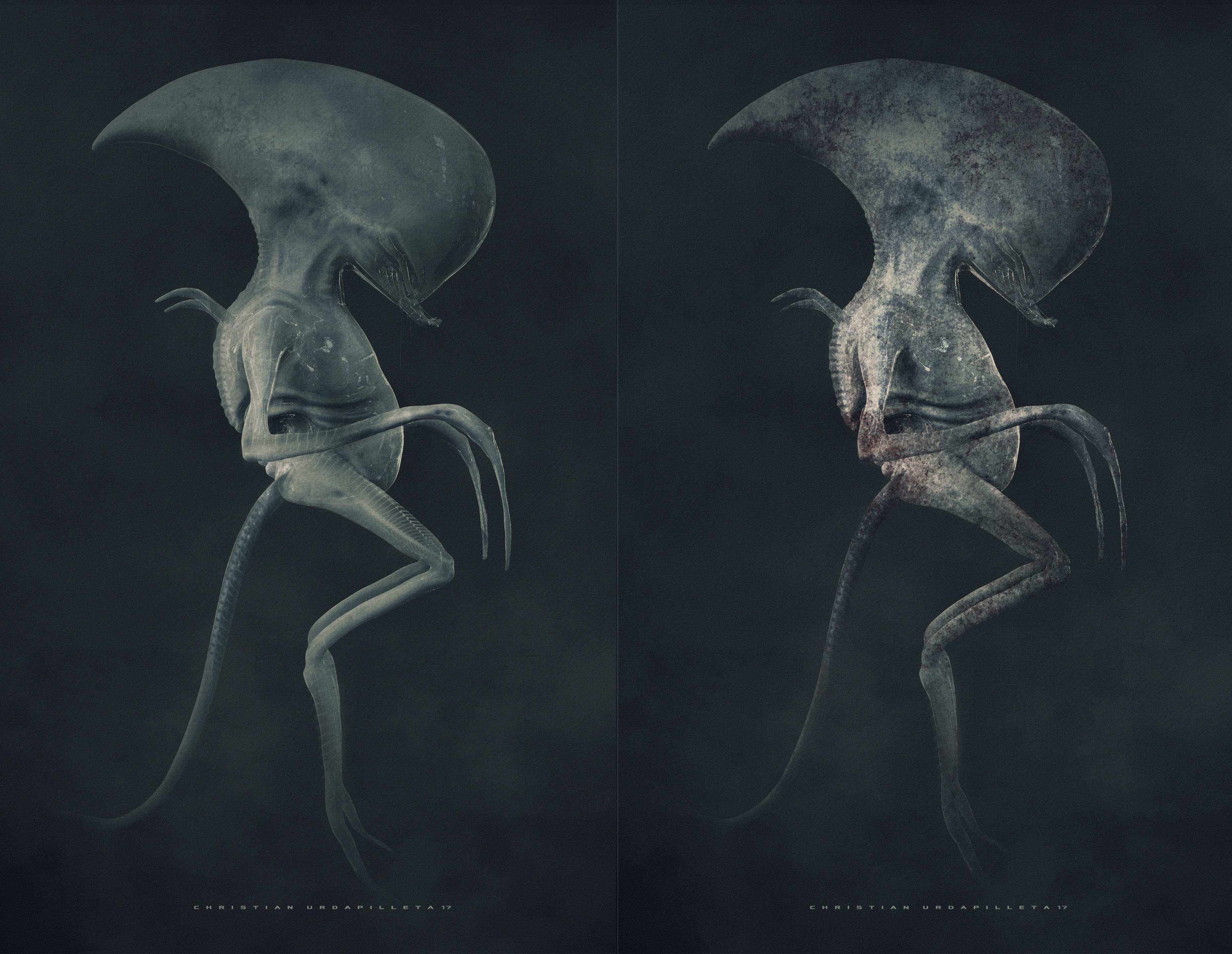 Neomorph By Christian Urdapilleta