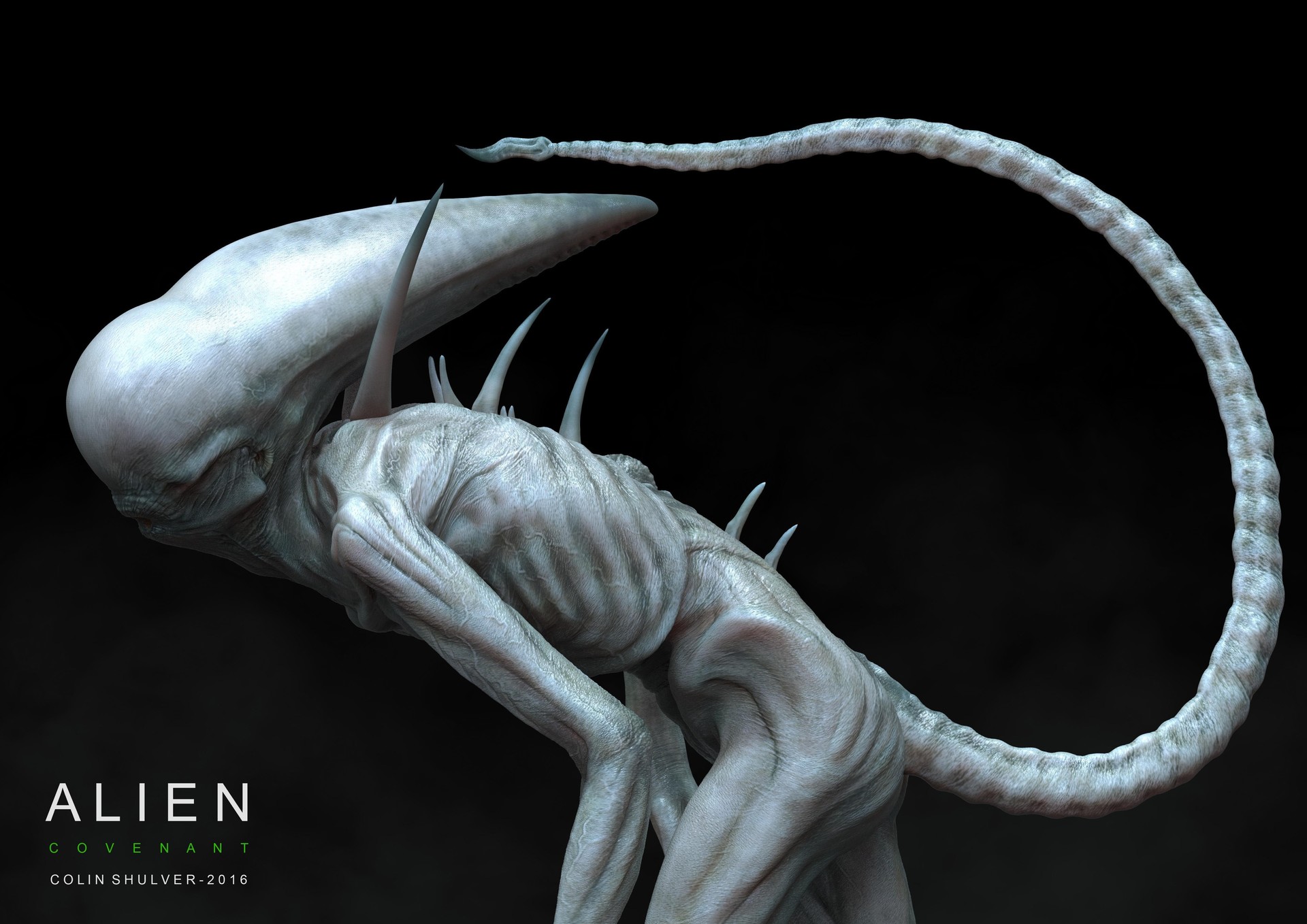 Neomorph concept by Colin Shulver