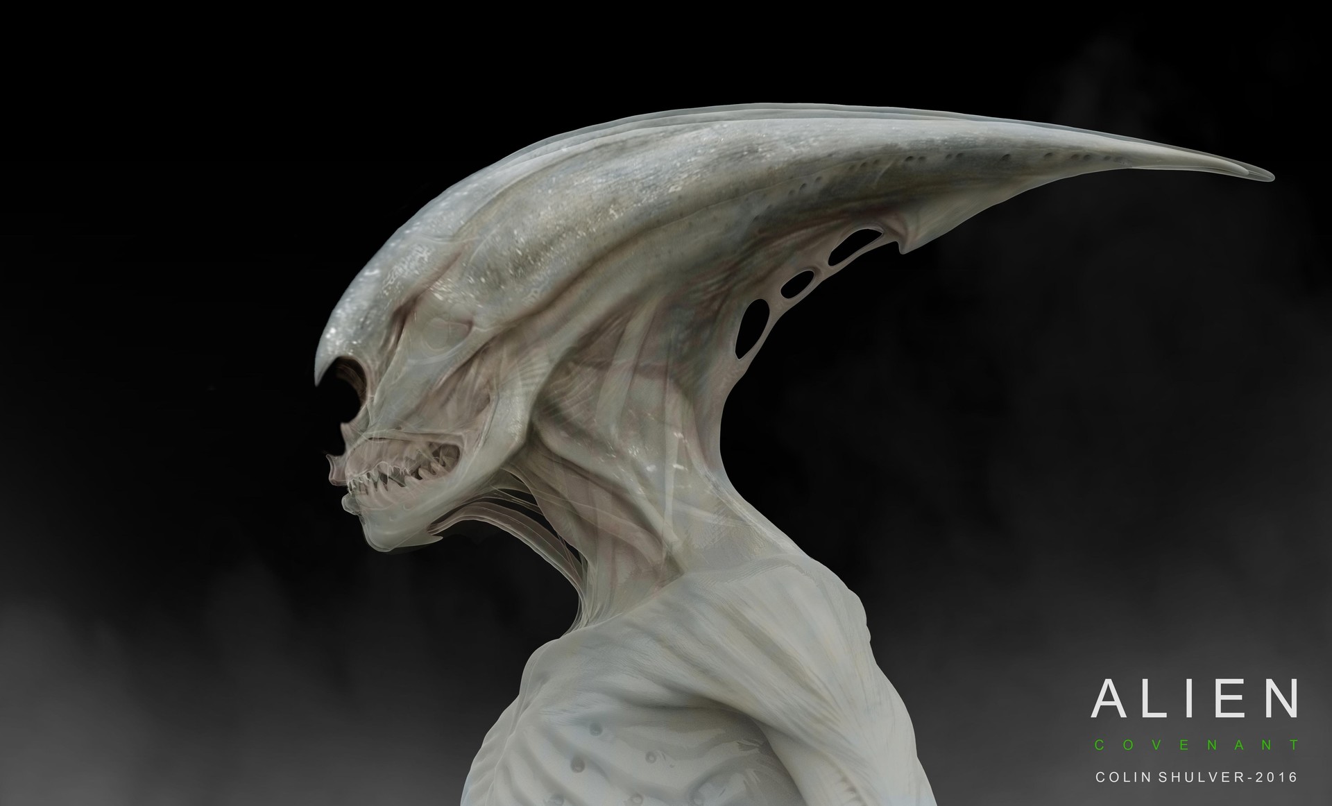 Neomorph concept by Colin Shulver